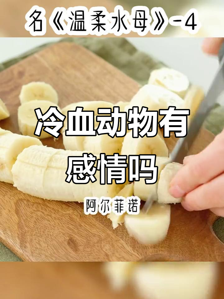 小章鱼的爱与承诺,能否救我?