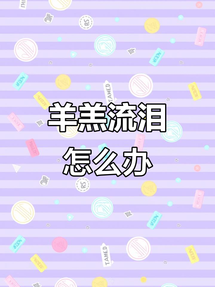 羊羔结膜炎快速治愈法,生理盐水+青霉素轻松搞定