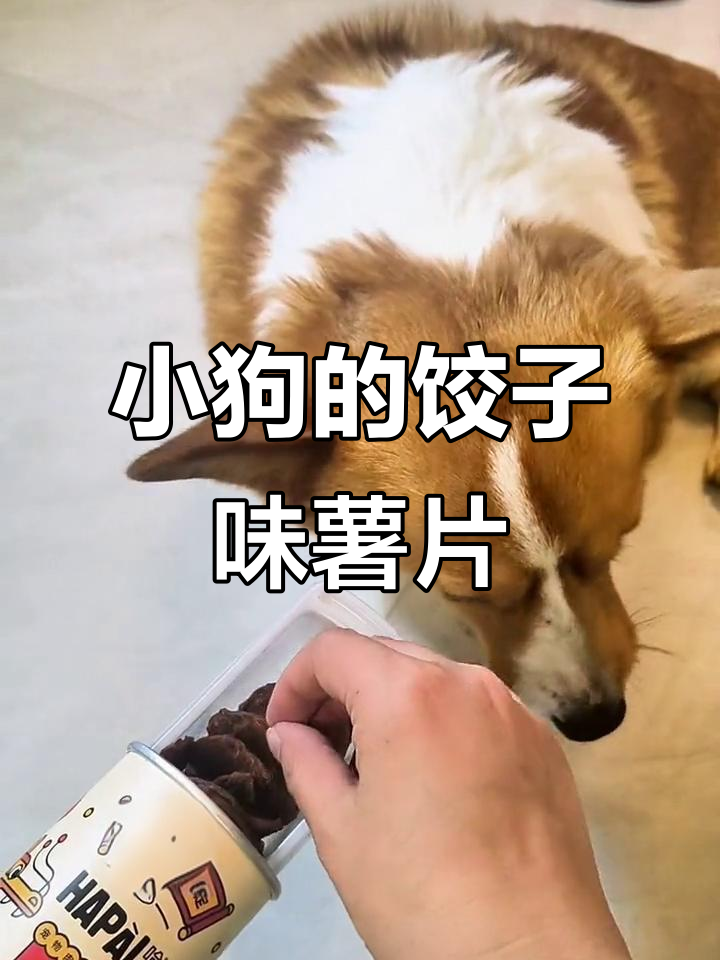 过年味道,小狗也爱吃的薯片!