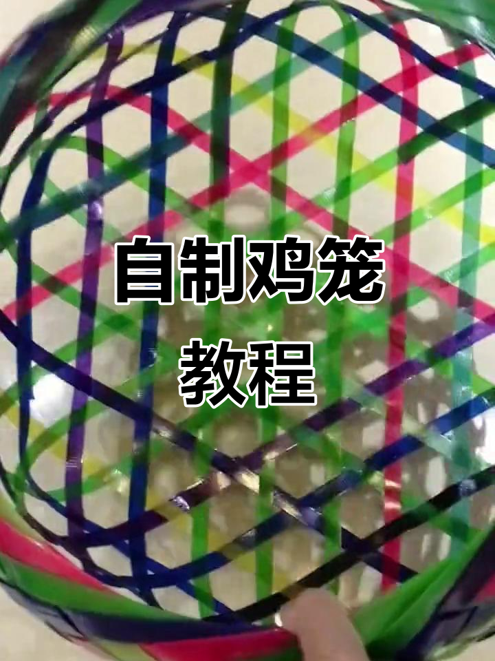 废物利用做鸡笼,简单又实用!