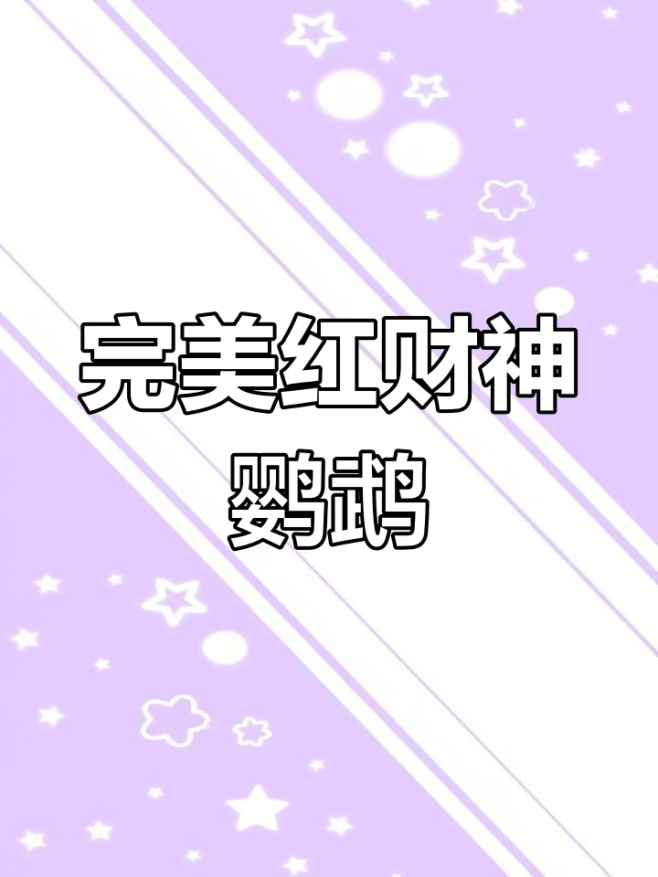 红财神鹦鹉成长大揭秘,颜值与身材并存!