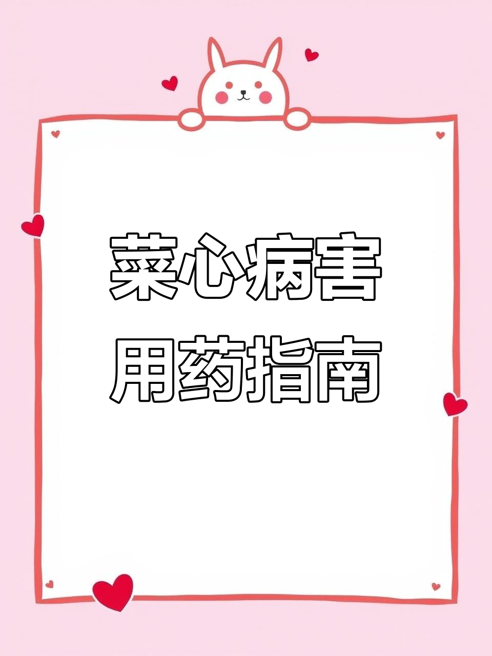 菜心常见病害及防治药物全解析