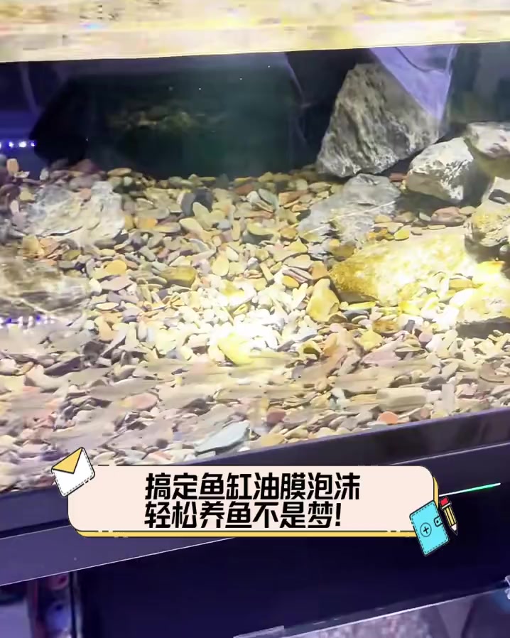 搞定鱼缸油膜泡沫,轻松养鱼不是梦!