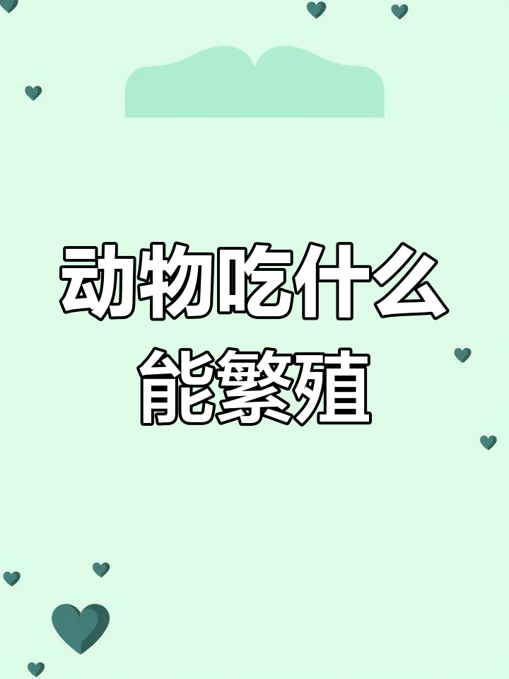 动物繁殖大揭秘:牛羊猪企鹅都能吃啥才能生宝宝?