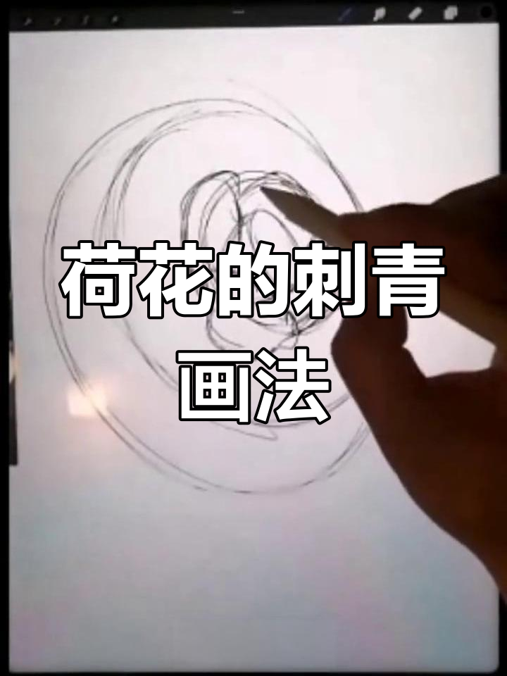 荷花纹身绘制技巧解析