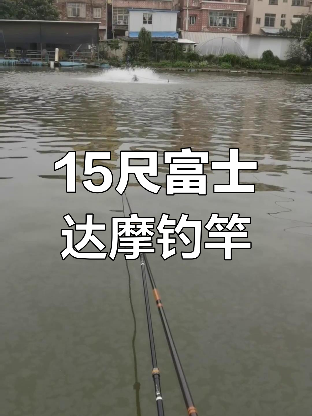 15尺皇家富士达摩黑坑钓鱼竿,绝版老杆挑战罗非鱼