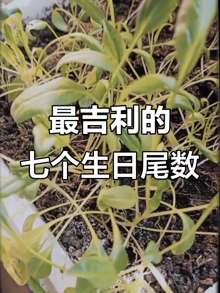 农历这7个日子出生的人,一生平安富贵好运连连