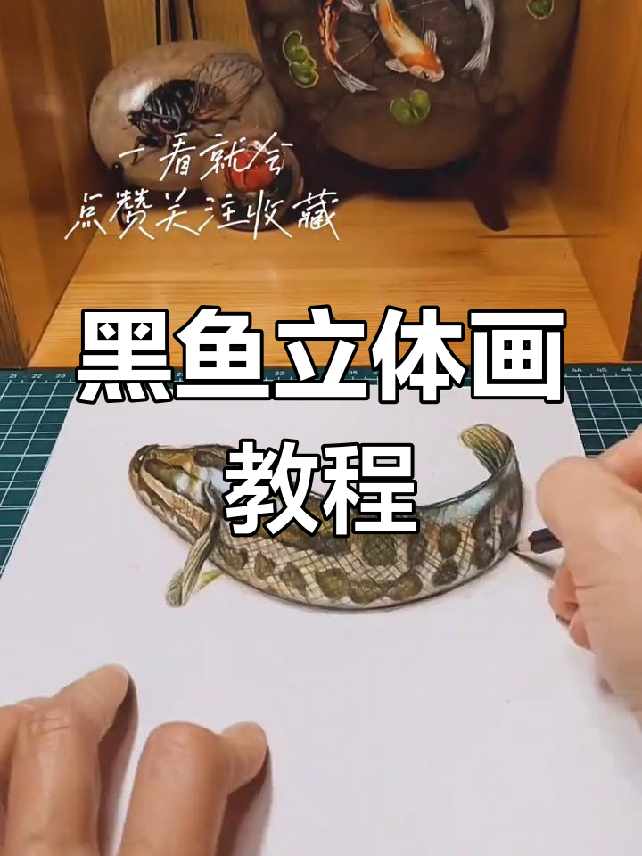 立体画让黑鱼栩栩如生,绘制全过程揭秘