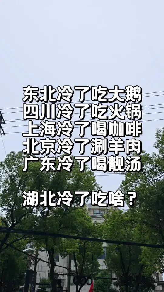 东北冷了吃大鹅 四川冷了吃火锅 上海冷了喝咖啡 北京冷了涮羊肉 广东冷了喝靓汤  湖北冷了