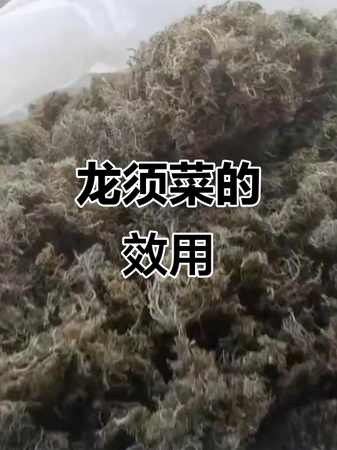 龙须菜的药用功效与作用,了解一下