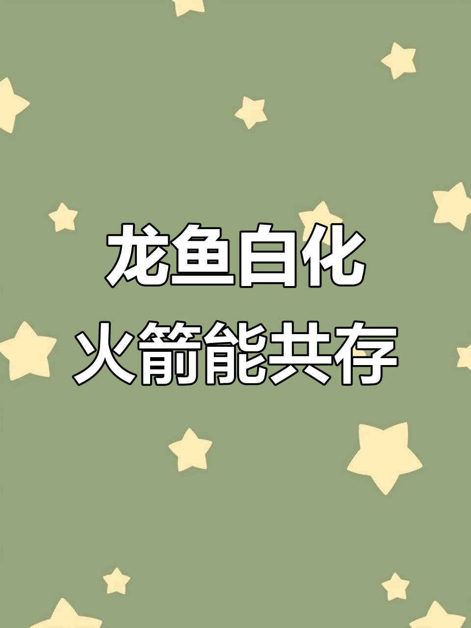 白化火箭与龙鱼混养，尺寸合适才是关键