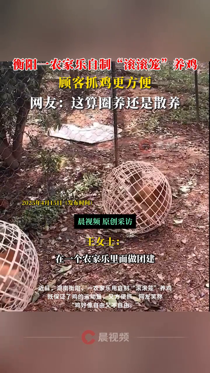 衡阳一农家乐自制“滚滚笼”养鸡,顾客抓鸡更方便