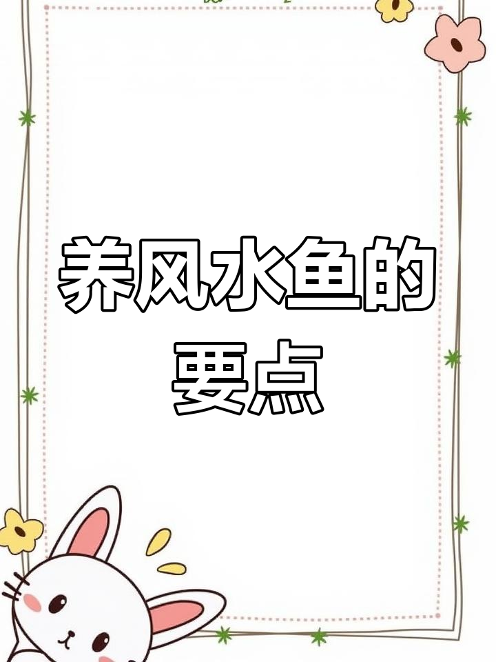 风水鱼种推荐与饲养技巧