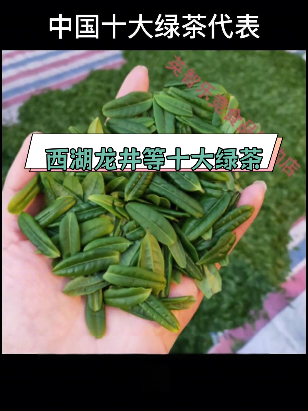 中国十大名贵绿茶排名