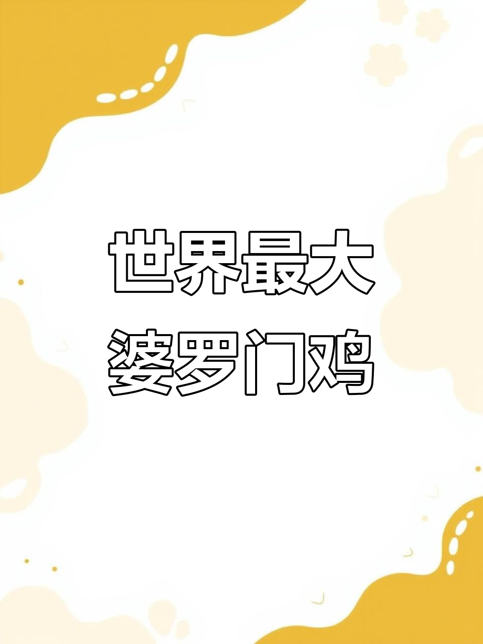 婆罗门巨无霸鸡苗:成年体重二十斤,身高近一米
