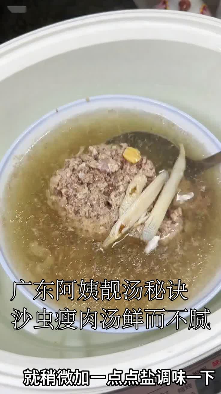 广东阿姨靓汤秘诀沙虫瘦肉汤鲜而不腻