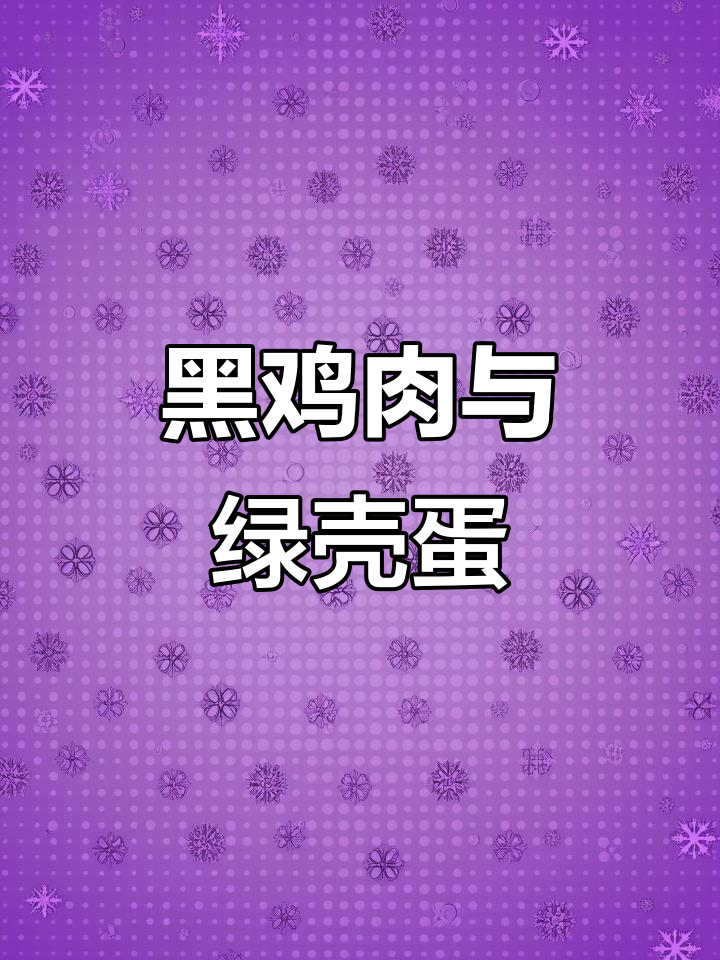 客户说乌肉鸡更美味,我却舍不得吃,留着下蛋呢!