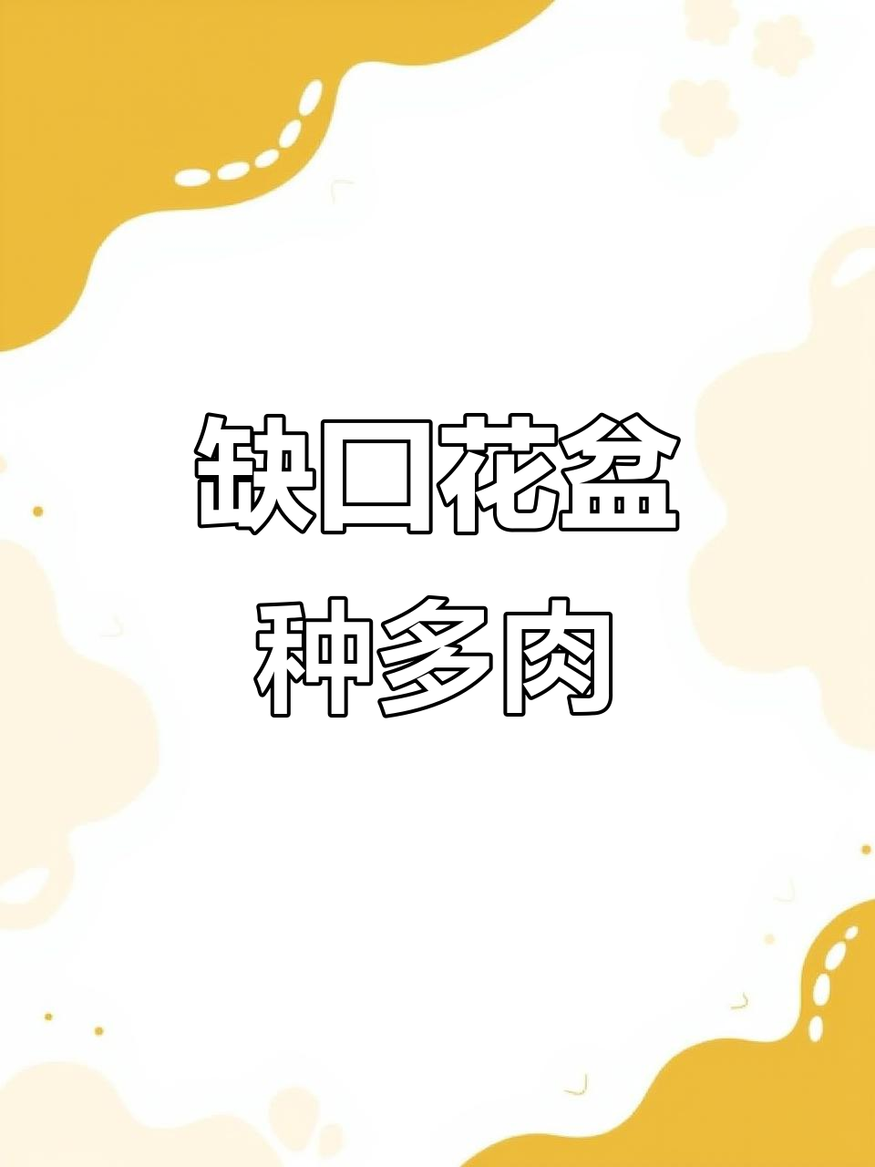 如何种植多肉植物在缺口花盆中