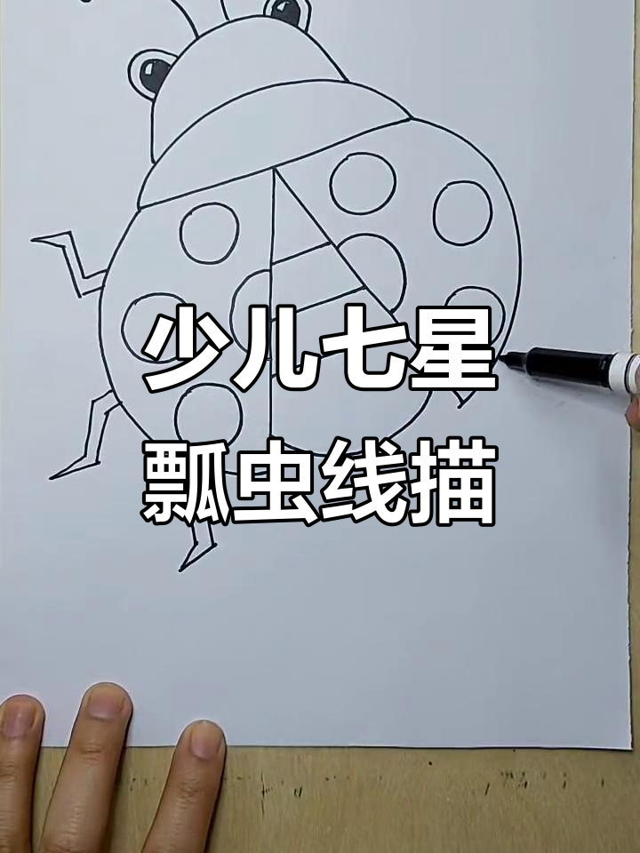 儿童创意七星瓢虫线描画,简单又有趣