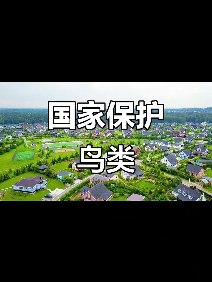 呱呱鸡,国家保护动物,生态价值不可忽视