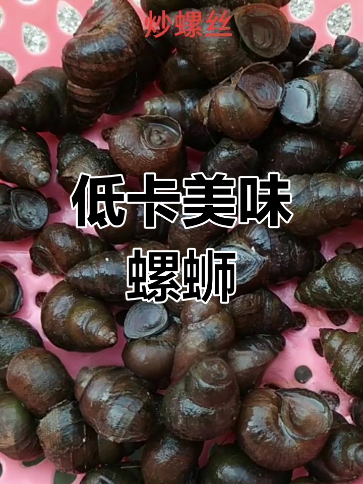 螺丝肉的营养与健康益处,轻松学做炒螺丝