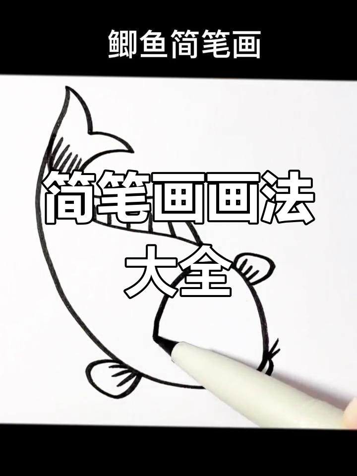 大鲤鱼简笔画,花草小动物持续更新,欢迎关注!