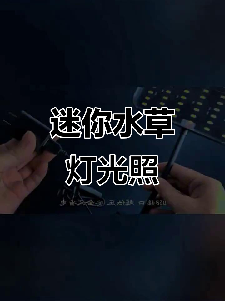 小型水族箱LED灯,打造鱼缸里的自然光影