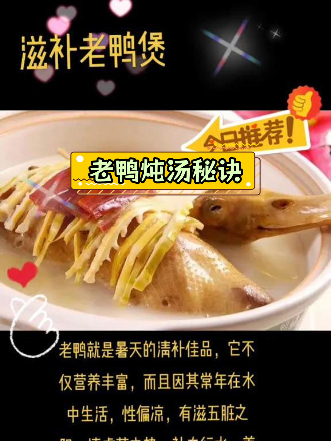 滋补老鸭煲的做法