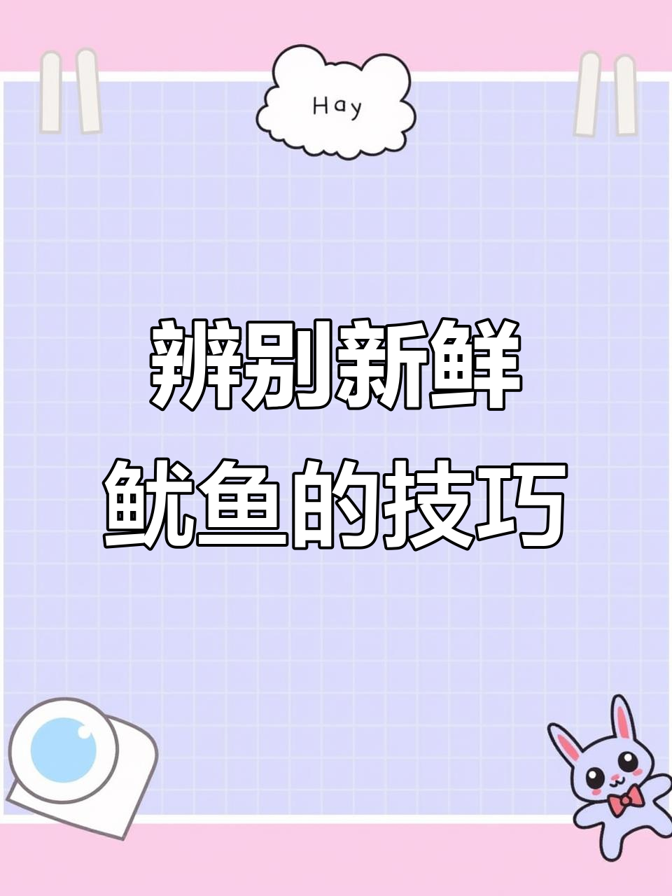 如何挑选新鲜鱿鱼?从顶级活鲜到泡水货,一学就会