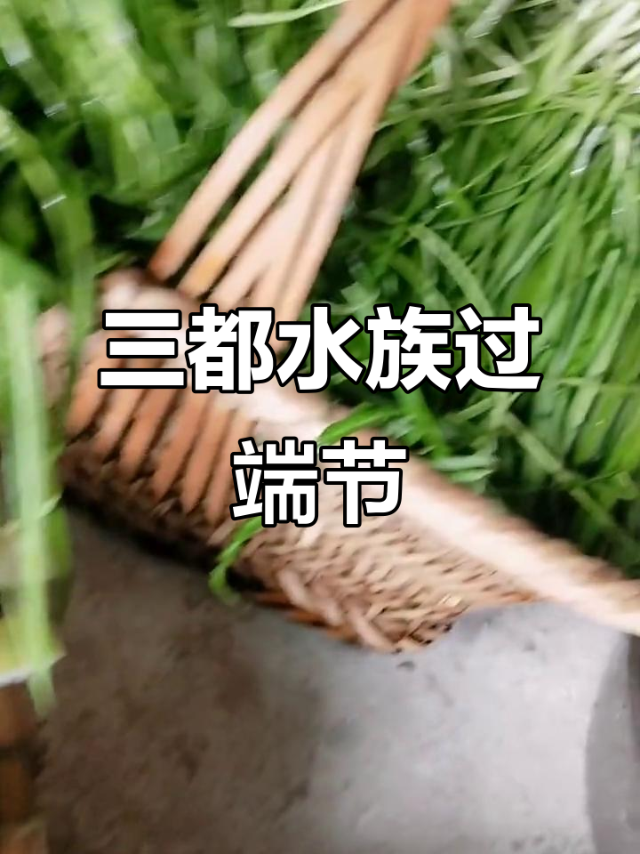 贵州三都水族端节庆典,鱼包韭菜热闹开打