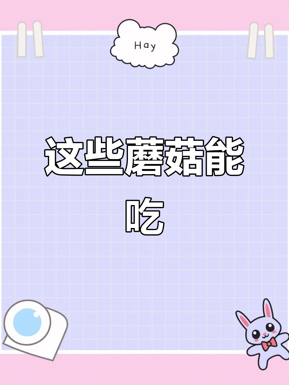 认识这些美味蘑菇,干巴菌、米汤菌都能吃!