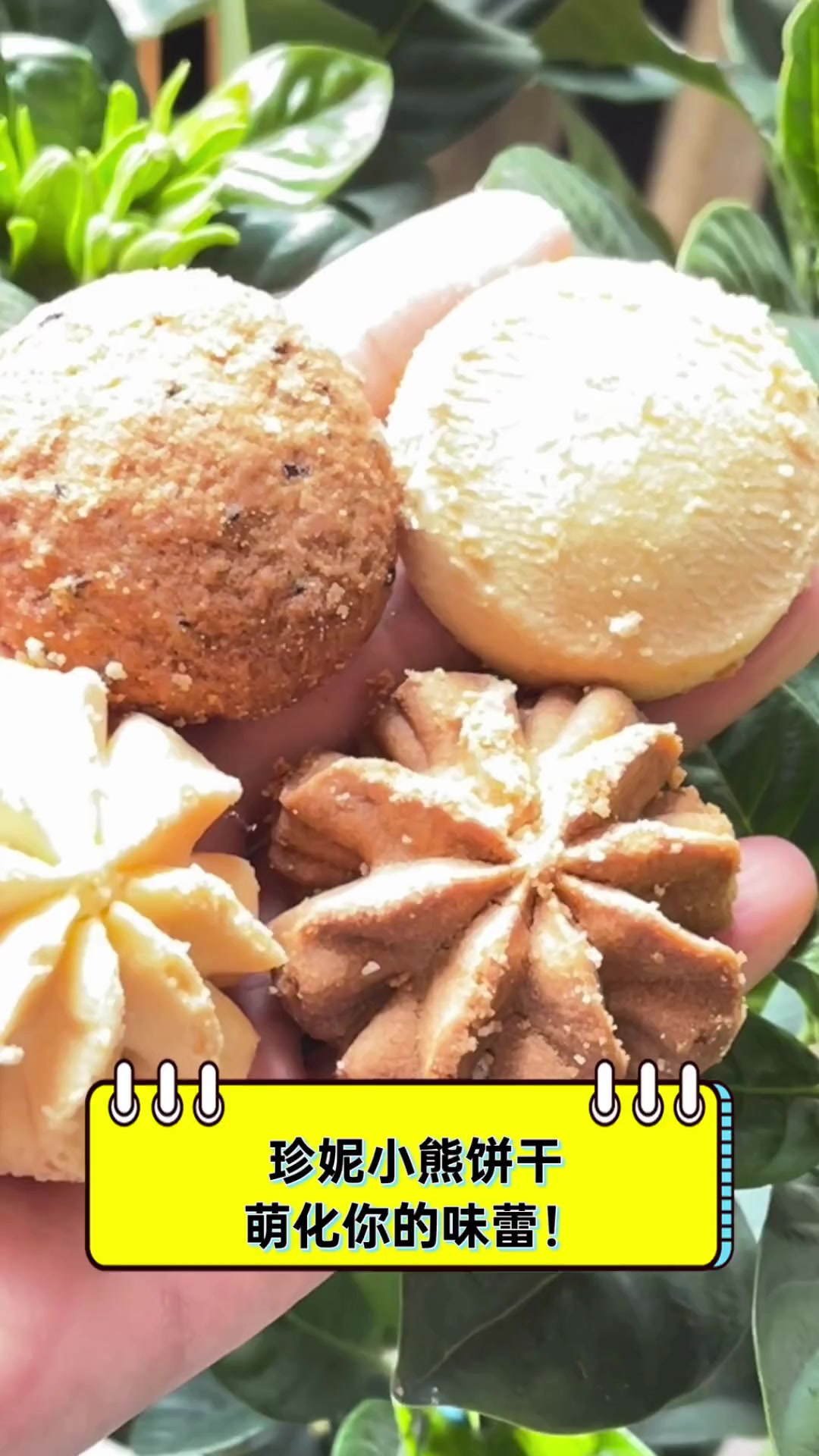 珍妮小熊饼干,萌化你的味蕾!
