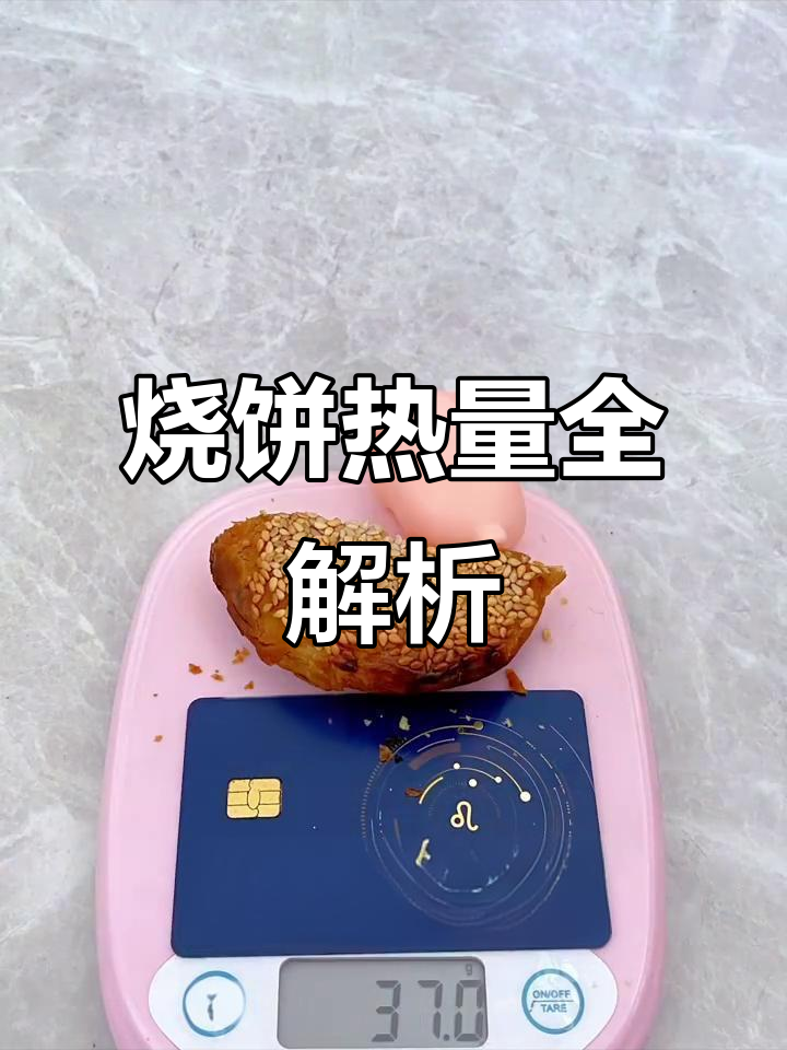 100个烧饼热量大揭秘,狗狗也能吃!