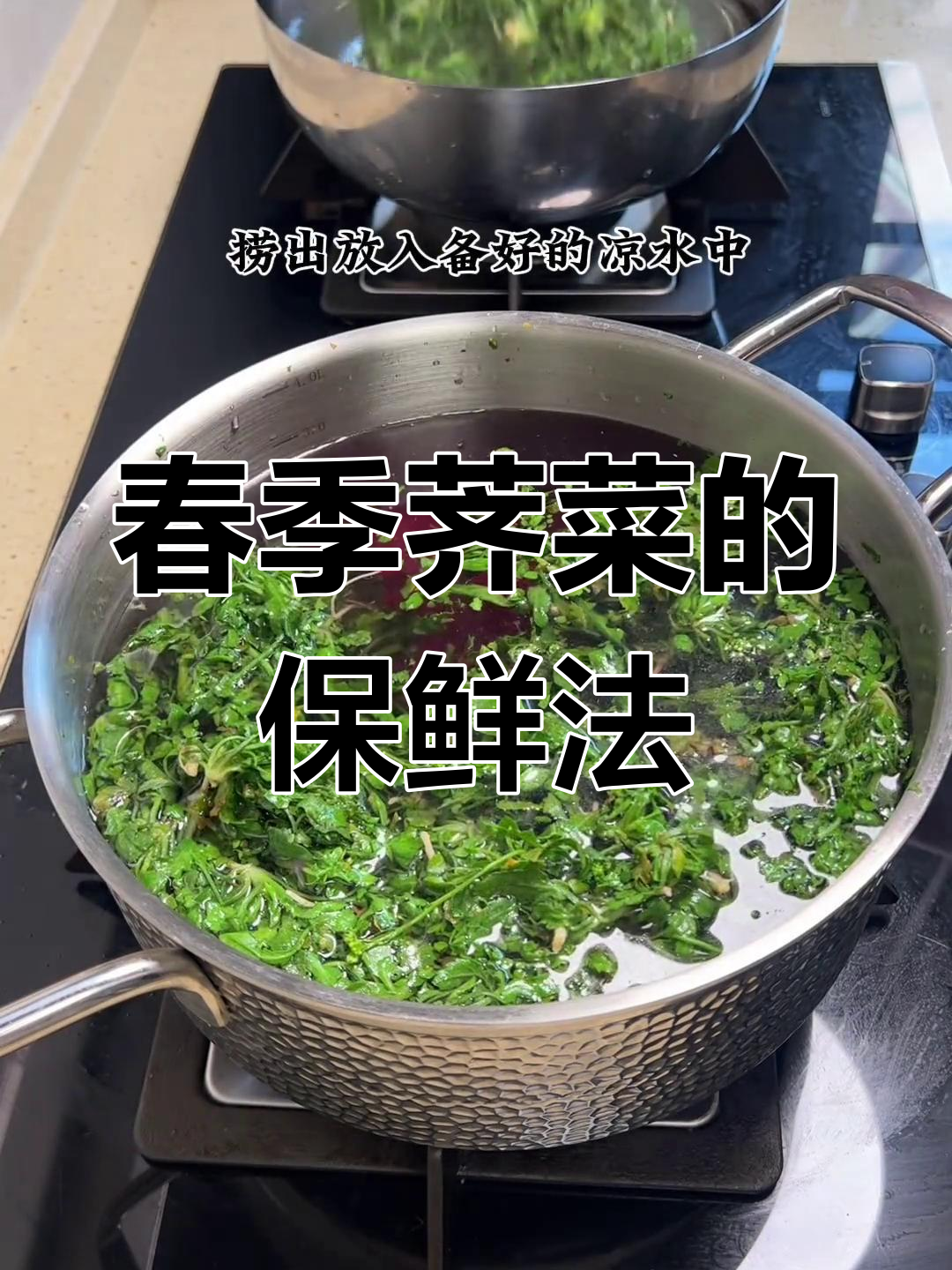 春天荠菜新鲜又美味,教你如何保存一年不坏