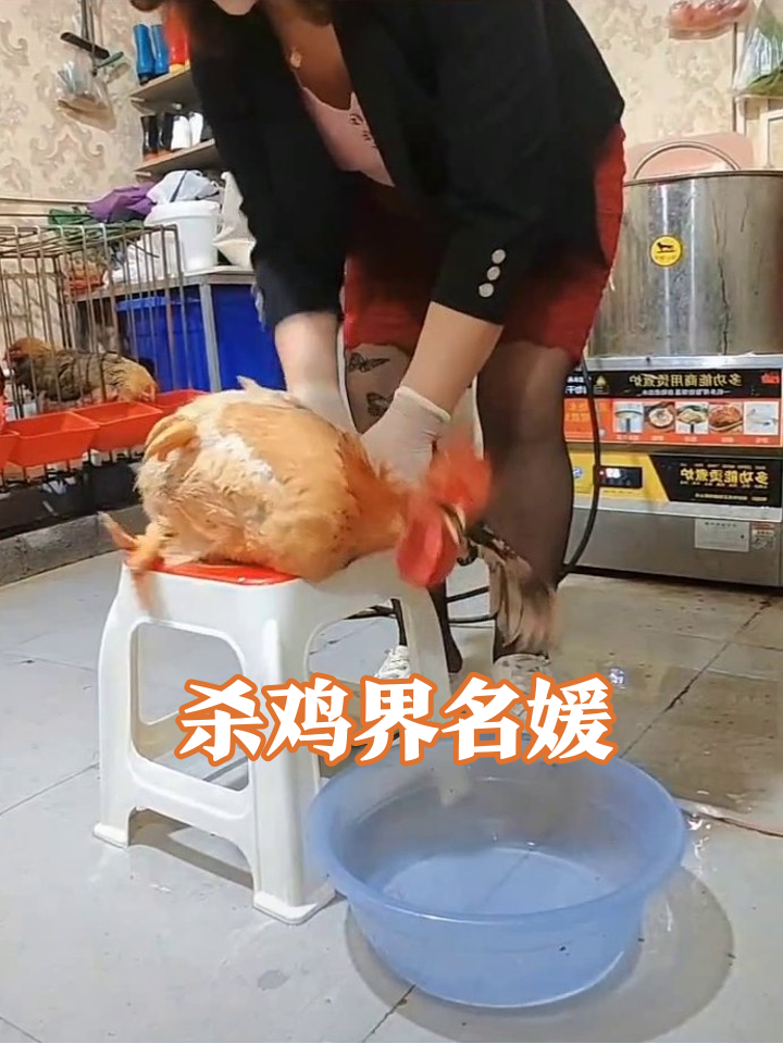 黑丝大姐杀鸡全程高能，高跟鞋踩凳笑翻网友