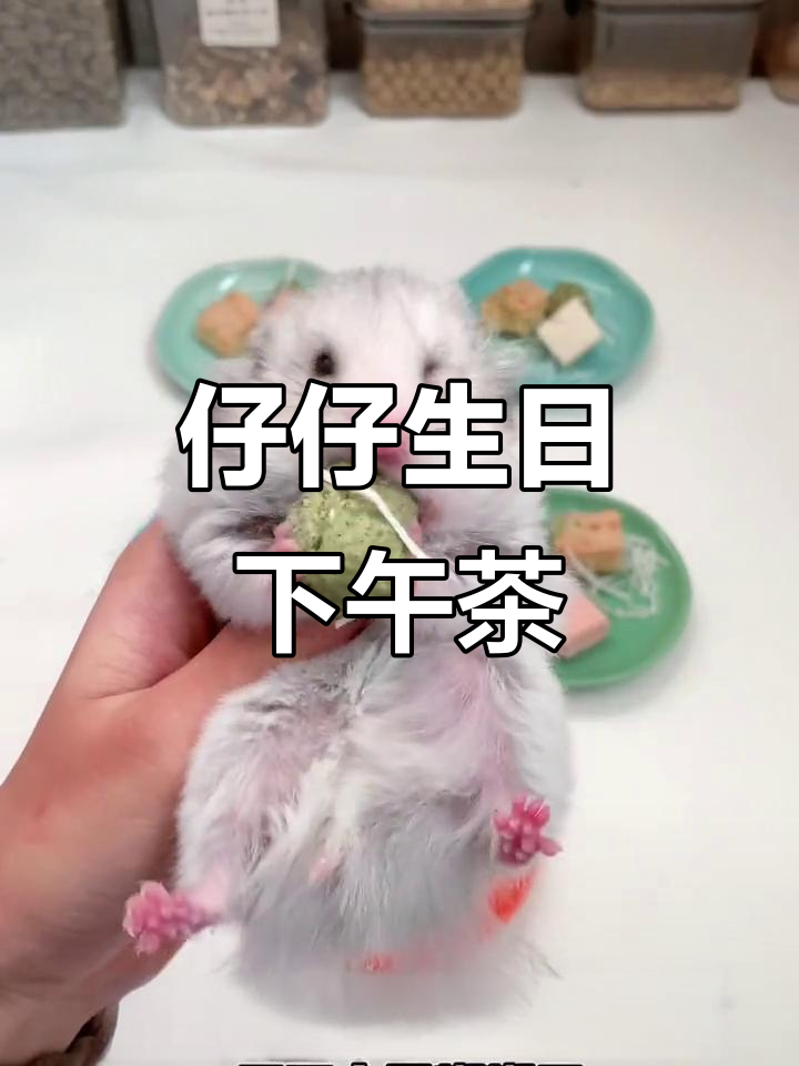 仔仔生日下午茶,蛋糕、糊糊套餐全安排!