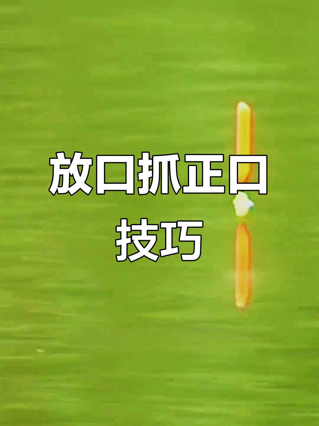 钓鲢鳙的关键:放口及时抓,避免锚鱼脱钩