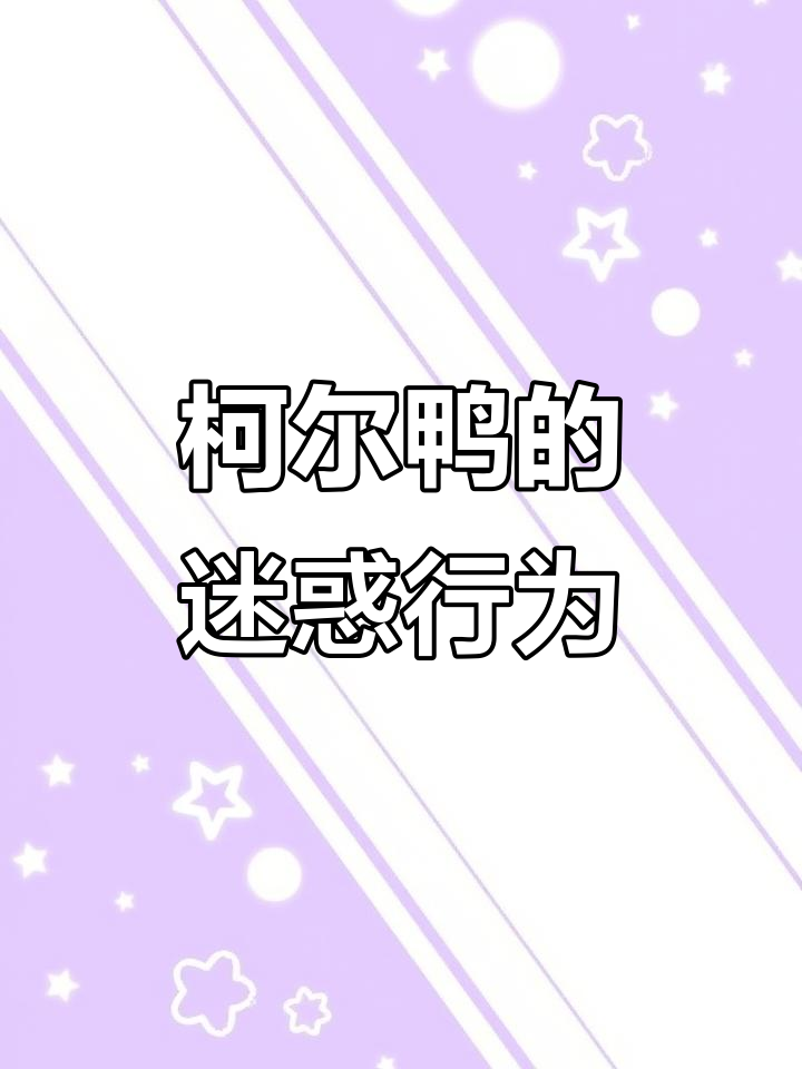 柯尔鸭酒吧大冒险，美女如云却不让带女朋友