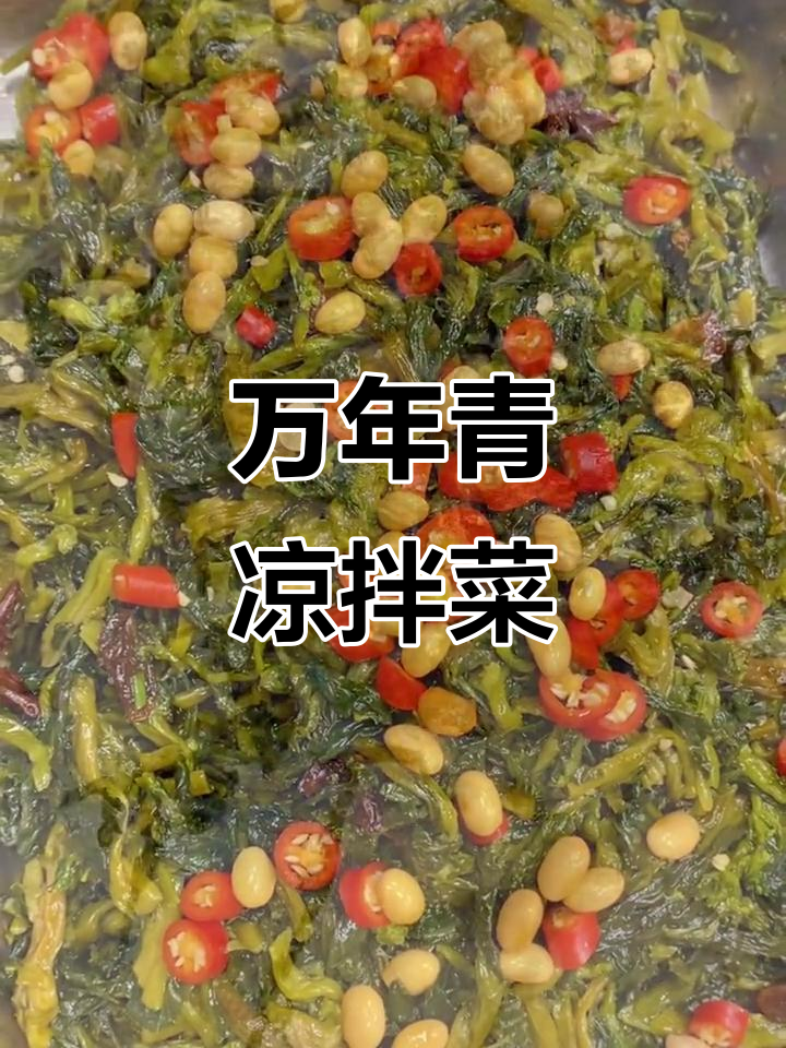 凉拌万年青,简单又美味!