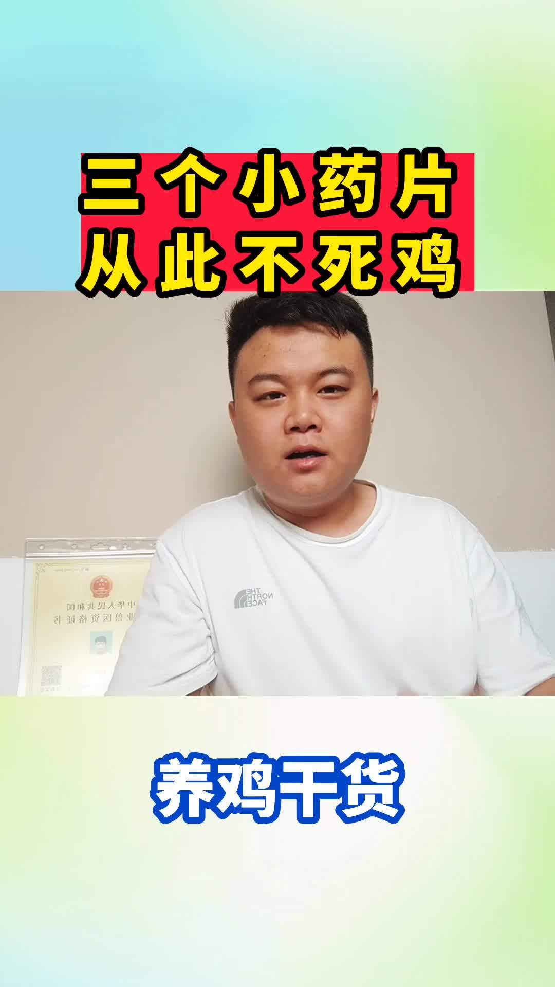 散养土鸡交流 生态散养土鸡 养鸡 养鸡人 散养土鸡