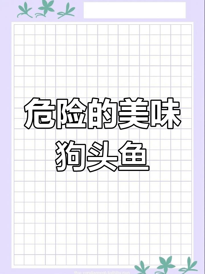 狗头鱼:肉质鲜美却有毒的海洋生物
