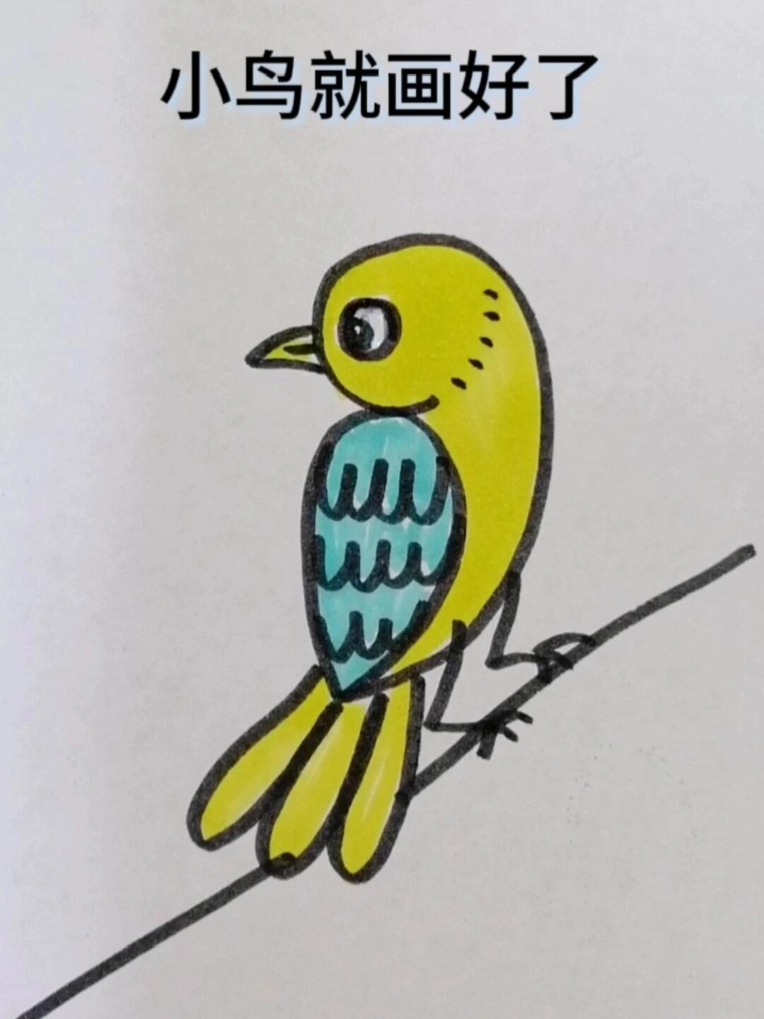 小鸟简笔画系列画