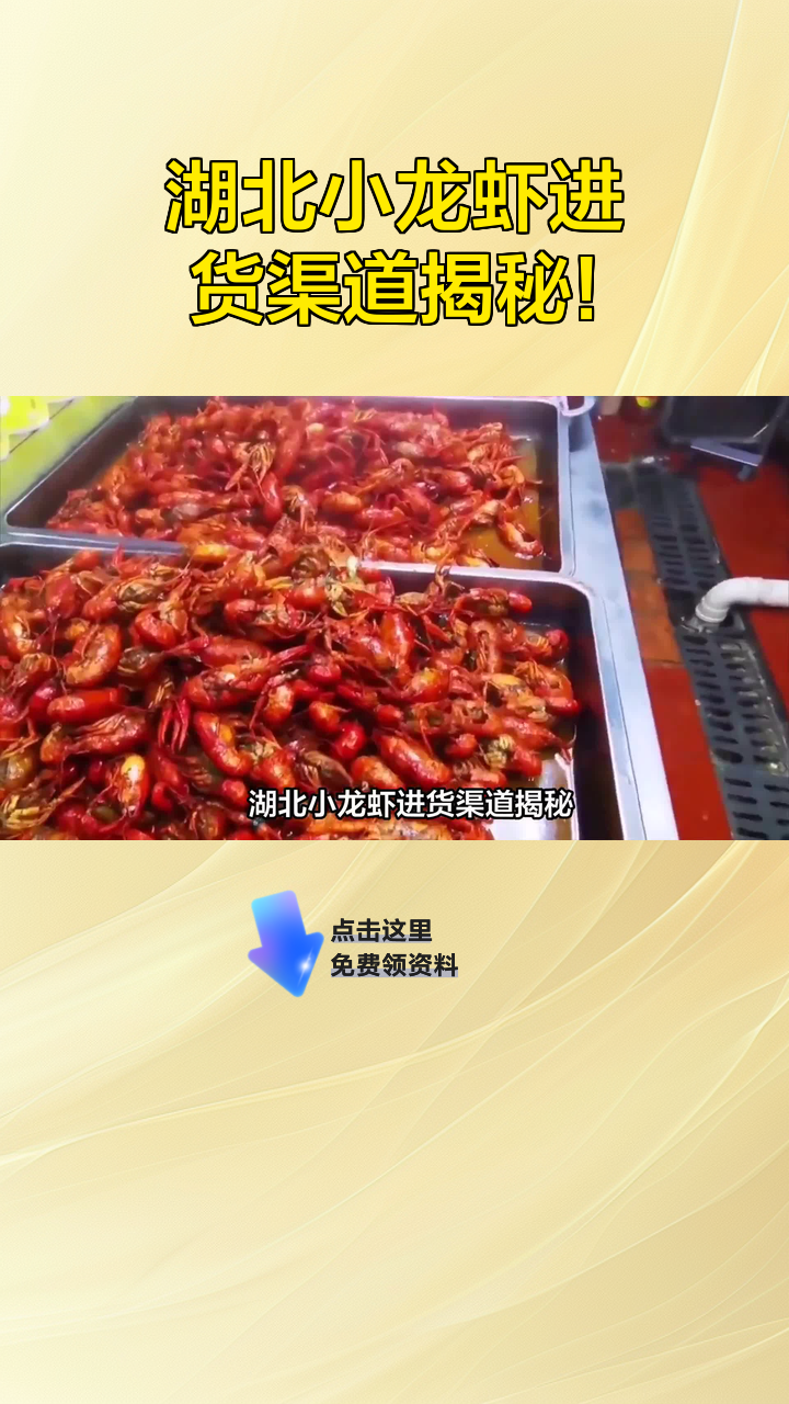 湖北小龙虾进货渠道揭秘!
