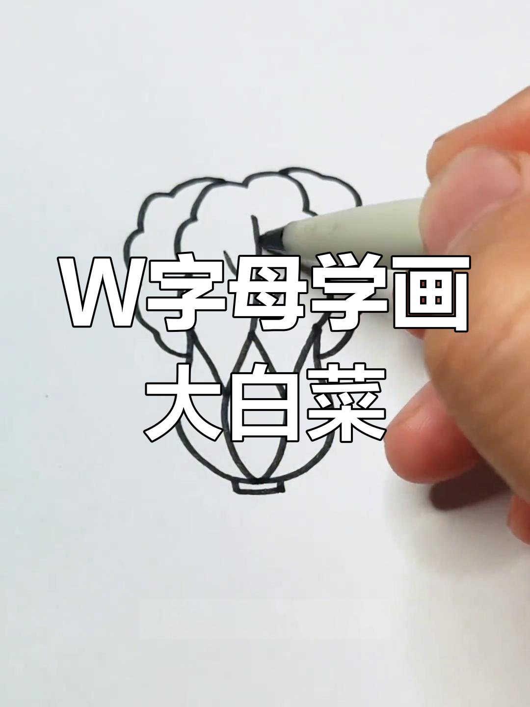 用W字母轻松画大白菜,简单又有趣!