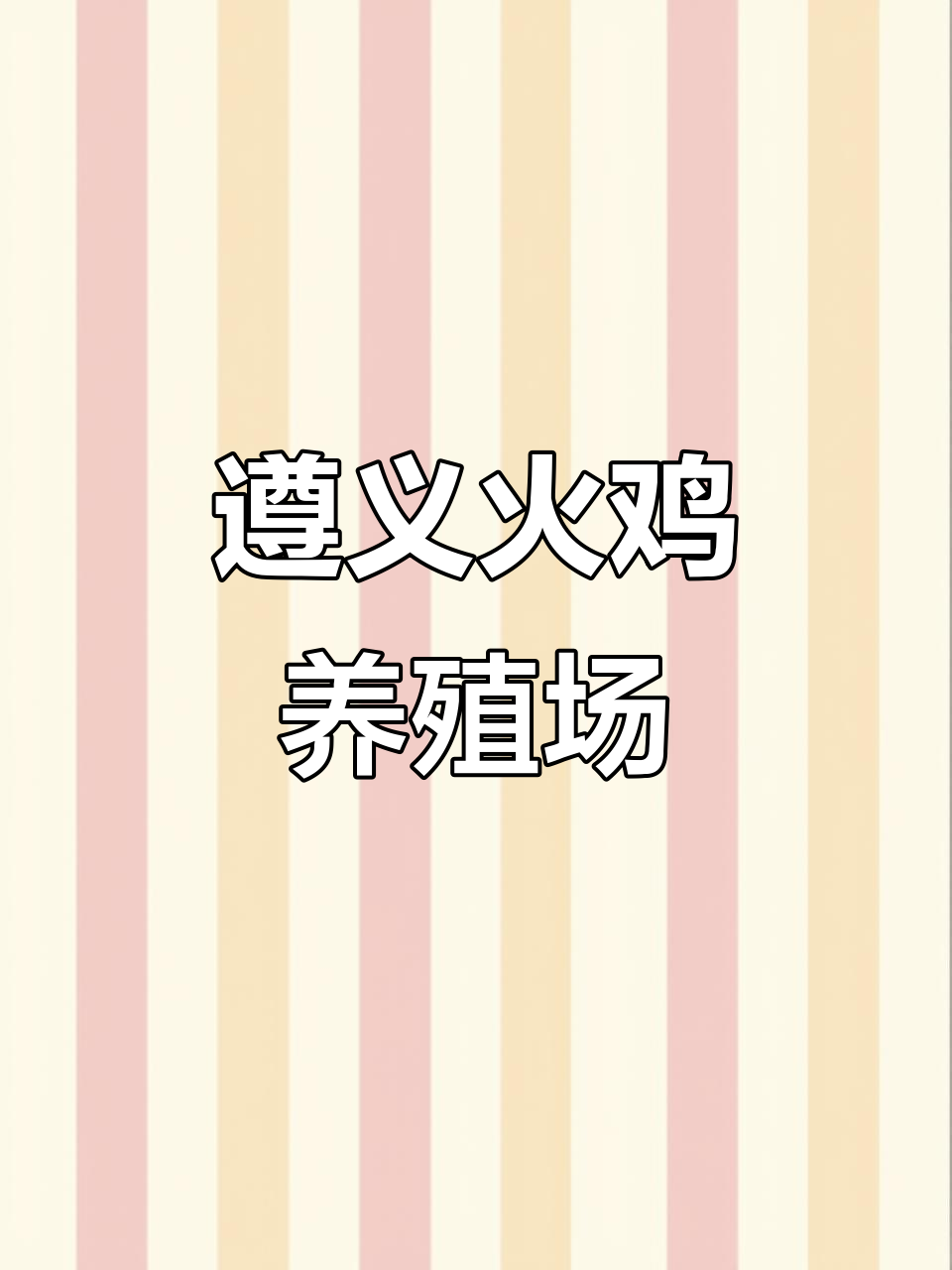 遵义火鸡养殖基地揭秘,疫苗接种全攻略