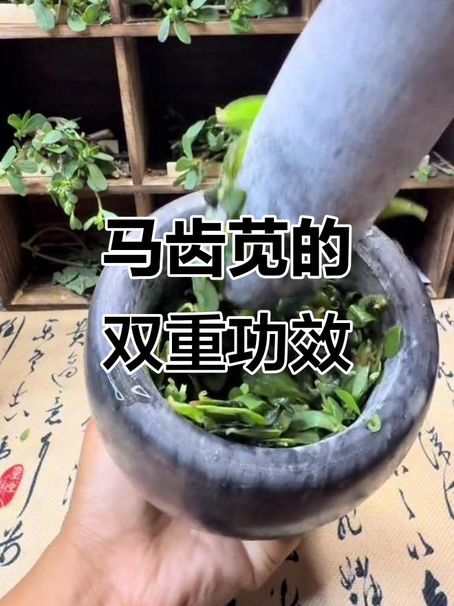 马齿苋不仅是野菜,还能护肤!自制面膜,敏感肌也能用