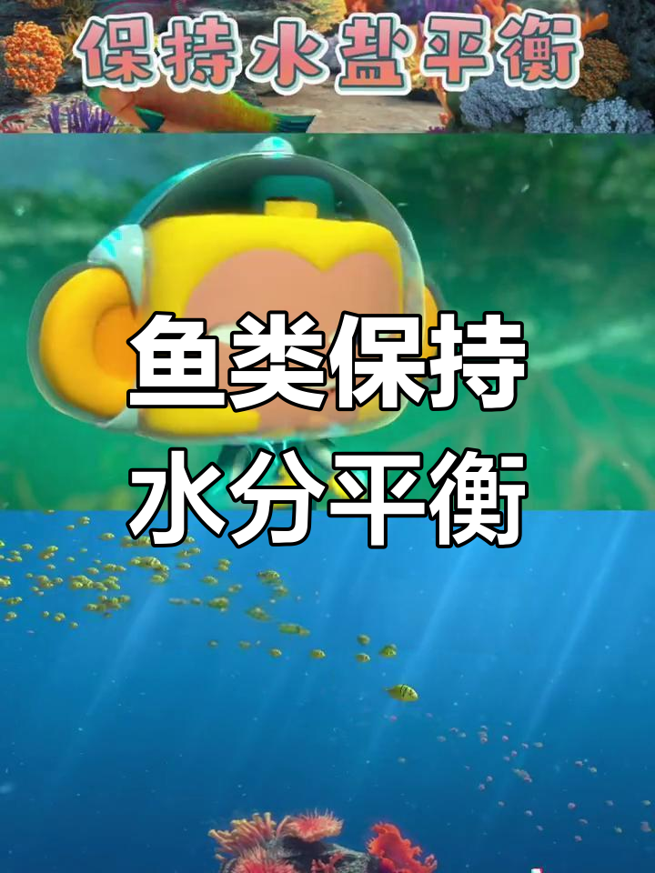 汽水鱼如何调节盐度?