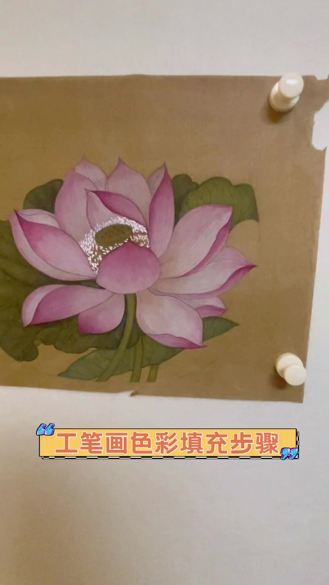 工笔画色彩填充步骤