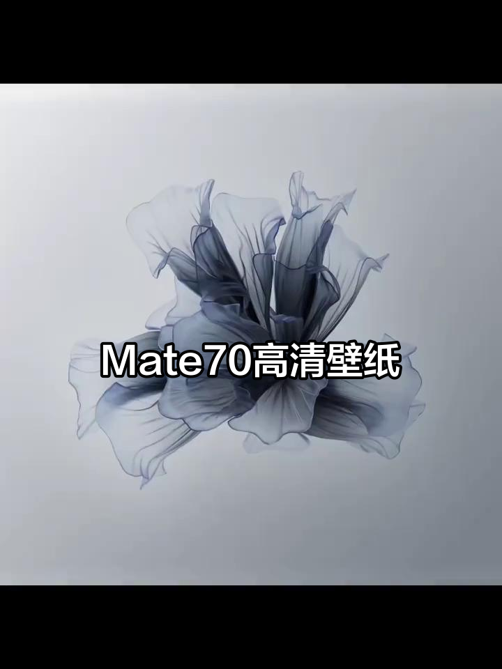 华为Mate70超清动态壁纸,质感十足,完美屏保体验
