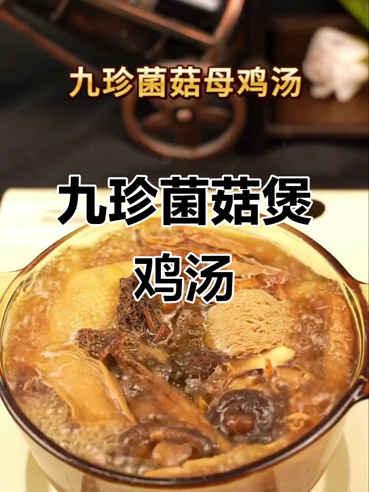 云南九种菌菇炖鸡汤,香气四溢,汤底鲜美无比